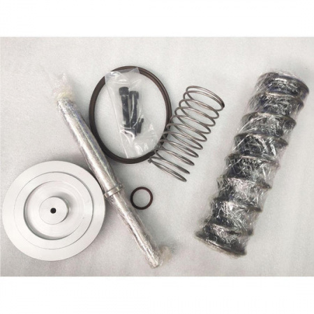 Набор впуского клапана 02250141-648 для Sullair