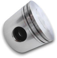 Поршень Copeland D3DS